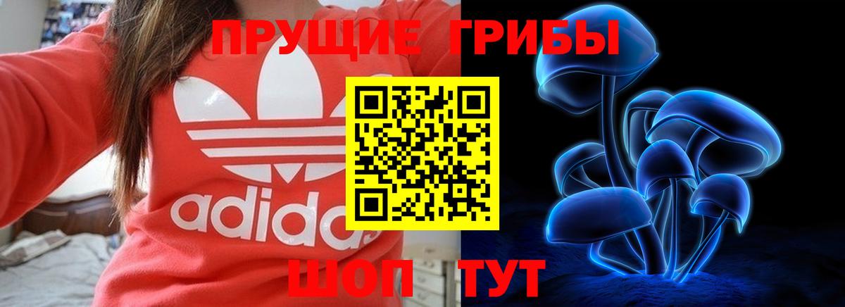 Псилоцибиновые грибы MAGIC MUSHROOMS Гусев